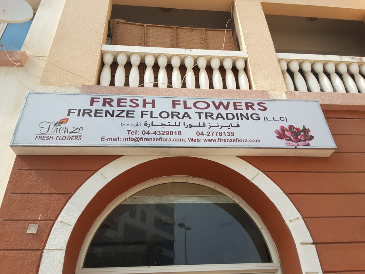 HiDubai-business-firenze-flora-trading-animals-pets-plants-plants-gardening-stores-international-city-warsan-1-dubai-2
