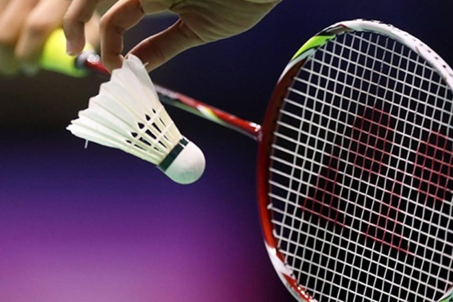 HiDubai-business-solo-day-sports-services-b2b-services-business-consultation-services-al-khabaisi-dubai