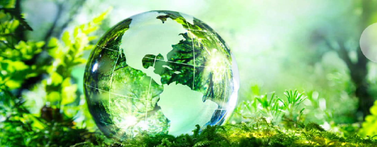 HiDubai-business-friendly-environment-cleaning-services-home-cleaning-services-al-fahidi-al-souq-al-kabeer-dubai-2