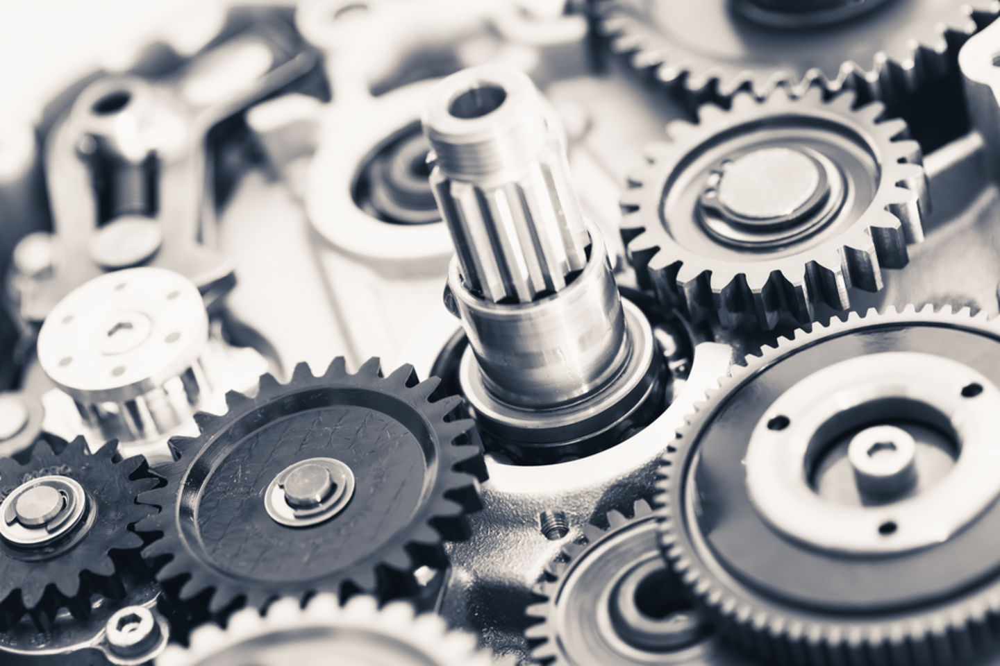 HiDubai-business-california-bike-transport-vehicle-services-motorcycle-spare-parts-accessories-ras-al-khor-industrial-2-dubai-2