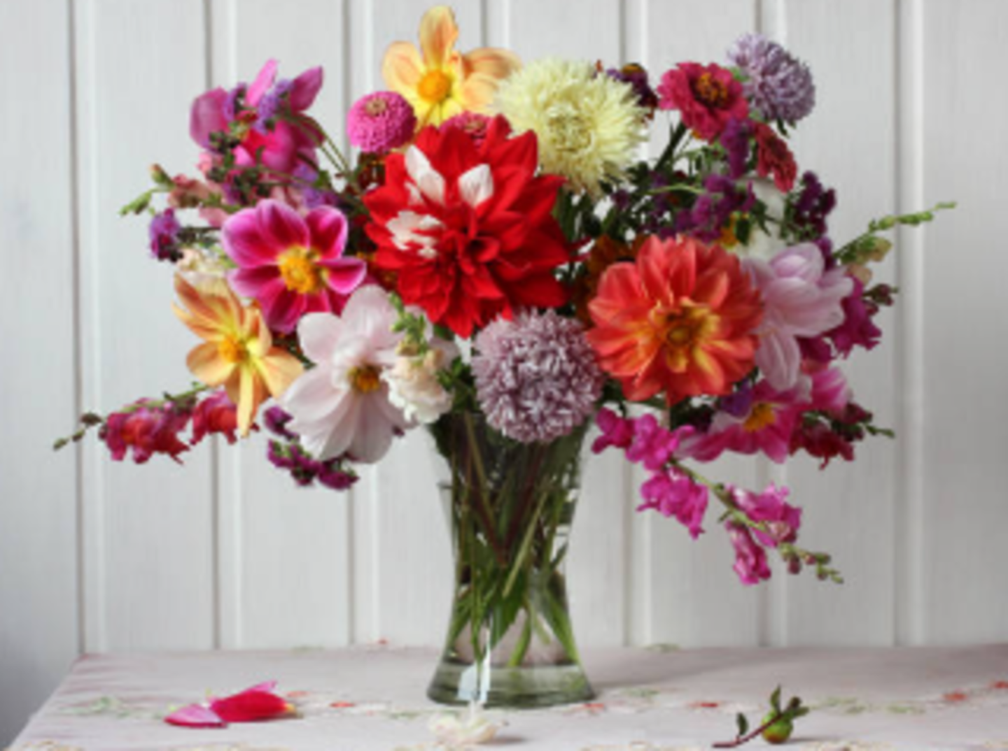 HiDubai-business-berry-flowers-balloons-boutique-animals-pets-plants-plants-gardening-stores-al-sufouh-1-dubai