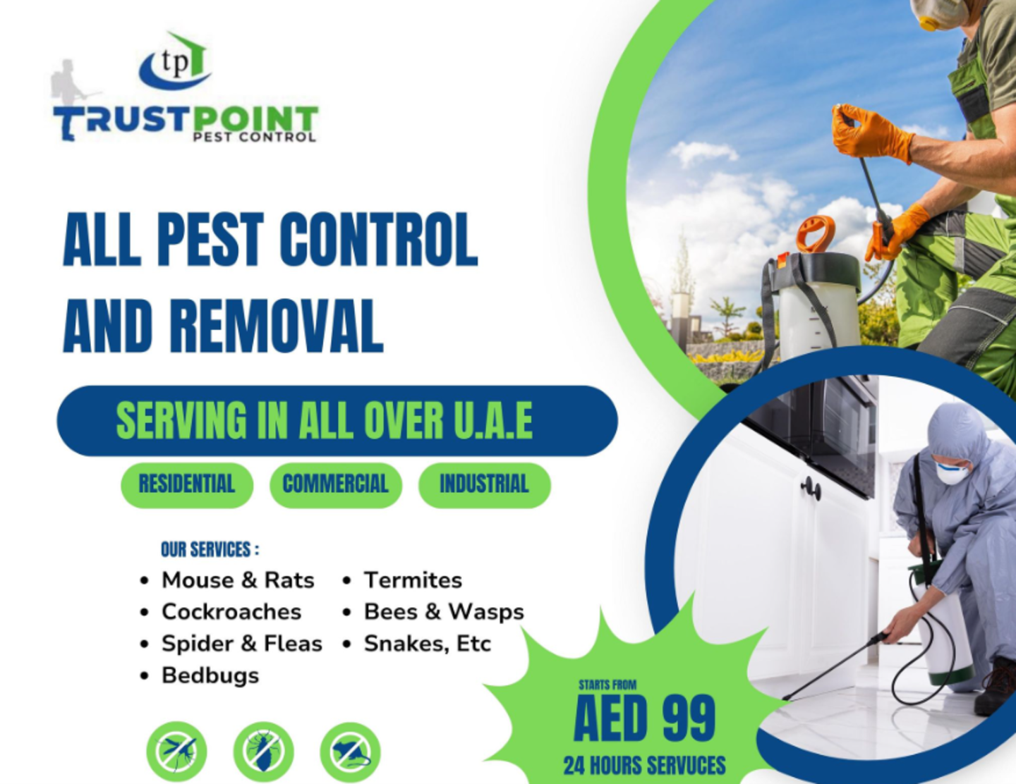 HiDubai-business-trust-point-pest-control-home-pest-control-disinfection-services-al-quoz-3-dubai