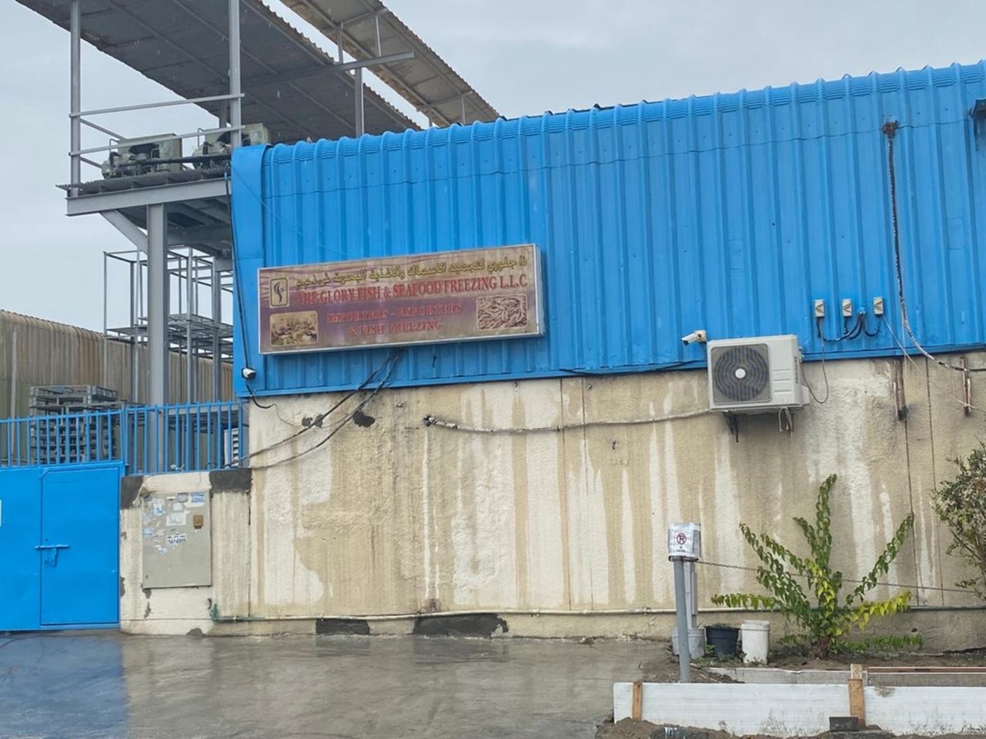 HiDubai-business-the-glory-fish-seafood-freezing-food-beverage-health-food-supplement-stores-al-qusais-industrial-3-dubai