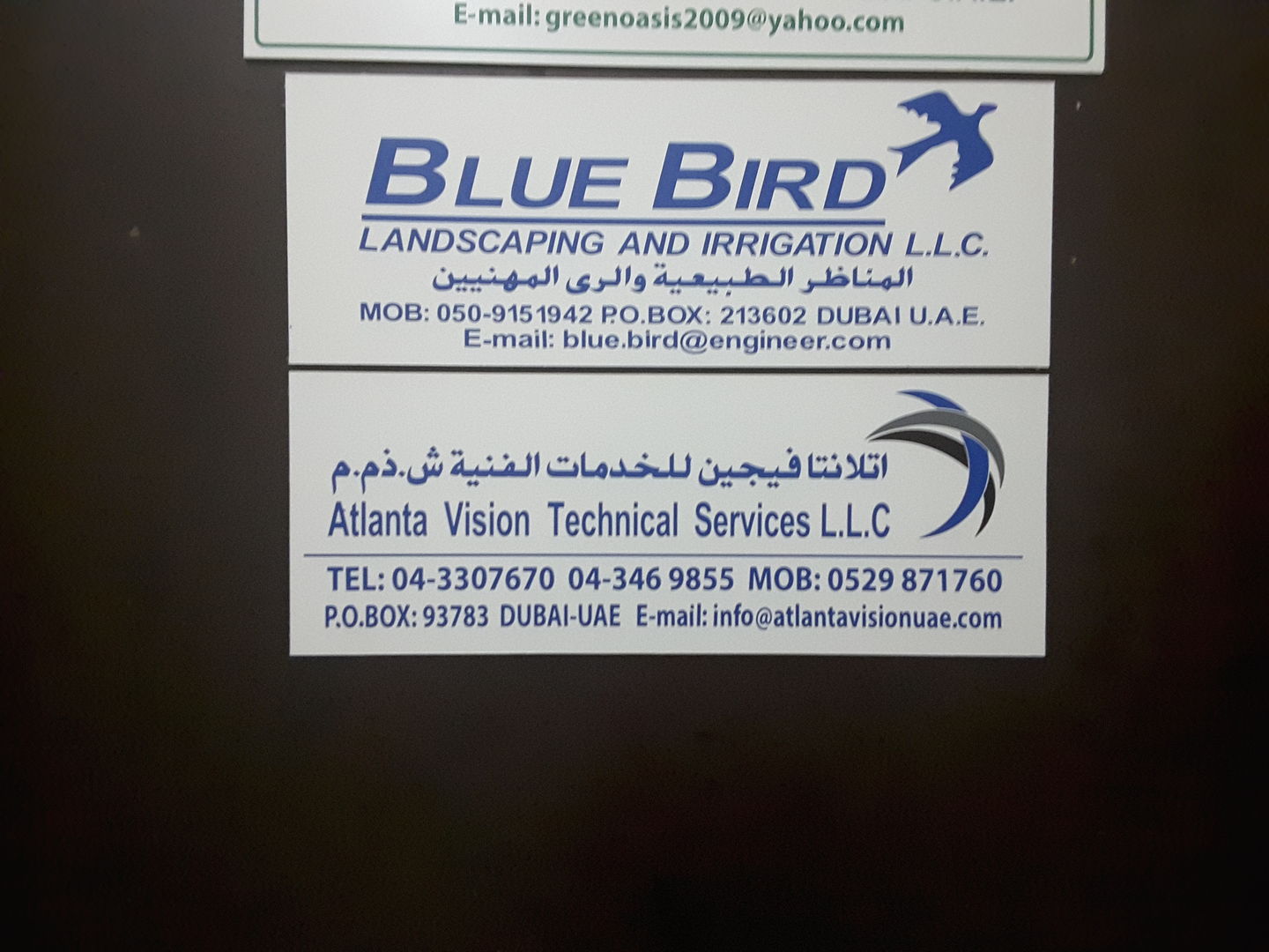 HiDubai-business-blue-bird-landscaping-and-irrigation-construction-heavy-industries-landscaping-al-baraha-dubai-2