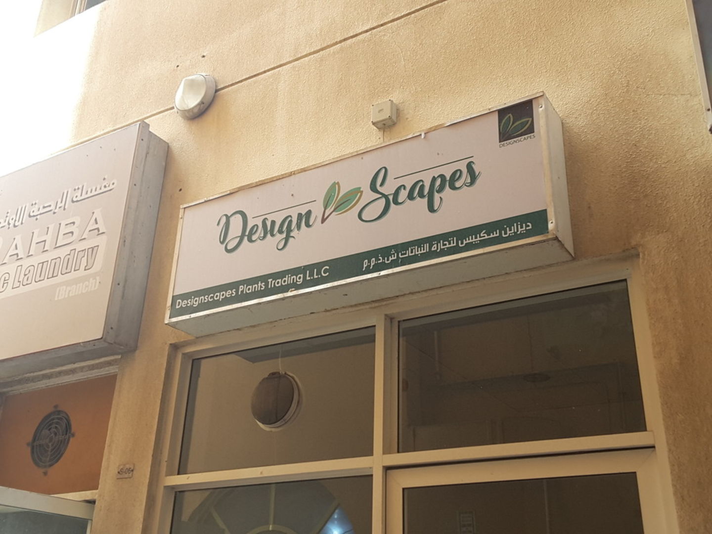 HiDubai-business-designscapes-plants-trading-home-gardening-landscaping-al-murar-dubai-2