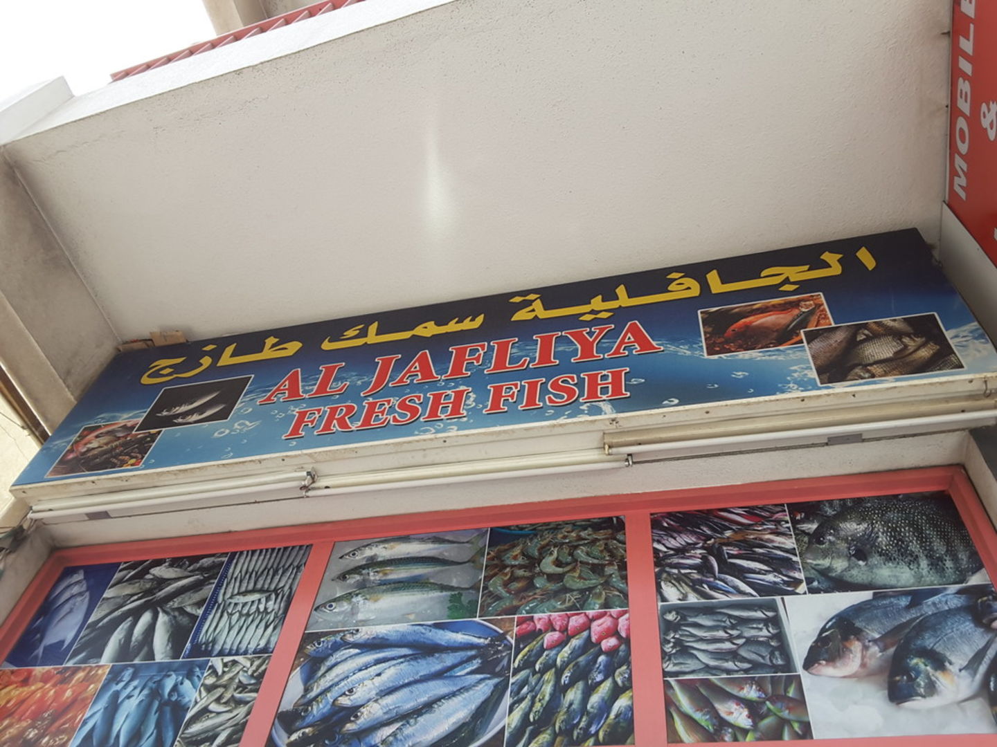 HiDubai-business-al-jafelya-fresh-fish-selling-shopping-supermarkets-hypermarkets-grocery-stores-al-jafiliya-dubai
