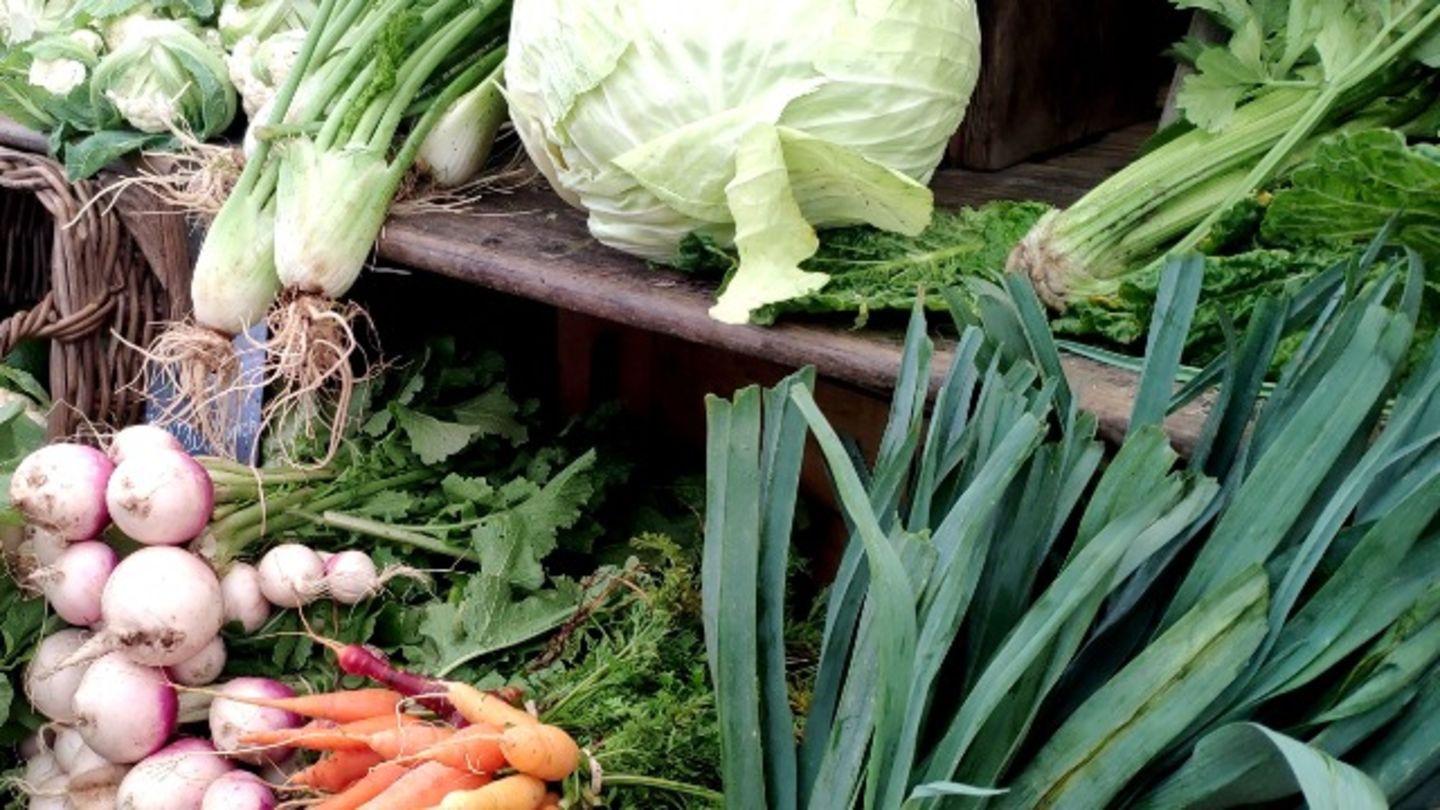 HiDubai-business-md-shafiqul-islam-grocery-shopping-supermarkets-hypermarkets-grocery-stores-al-bada-dubai