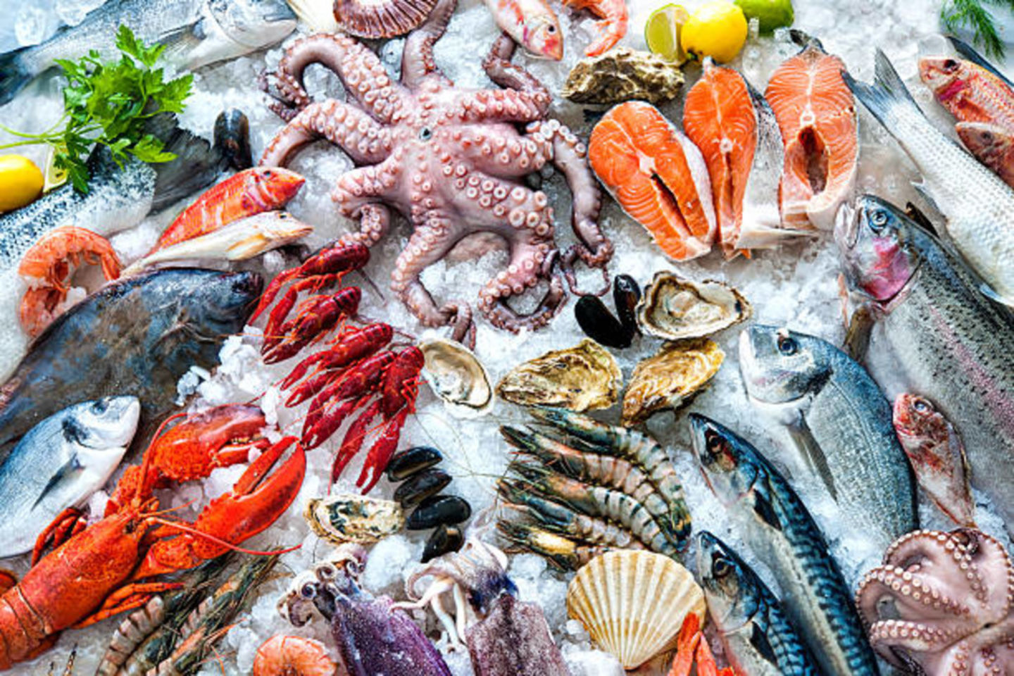 HiDubai-business-fish-mart-b2b-services-food-stuff-trading-dubai-marina-marsa-dubai-dubai