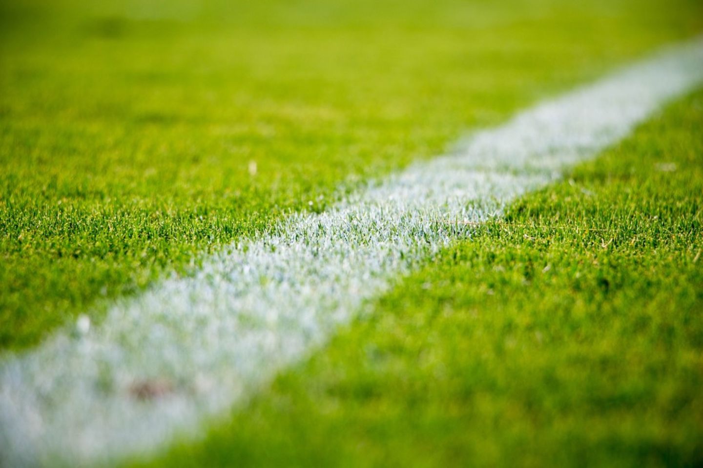 HiDubai-business-football-pitch-living-legends-sports-fitness-courses-tracks-grounds-wadi-al-safa-3-dubai