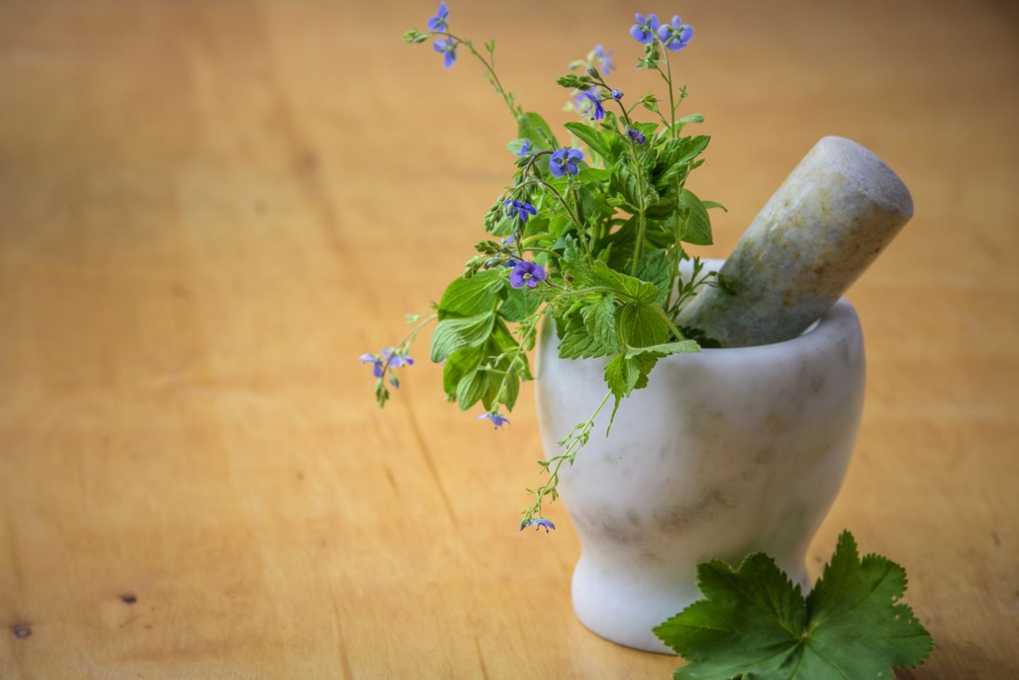 HiDubai-business-rashed-alnuaimi-natural-herbs-trading-b2b-services-distributors-wholesalers-al-fahidi-al-souq-al-kabeer-dubai