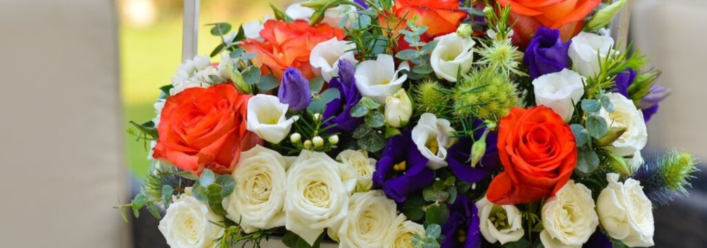 HiDubai-business-flower-station-dubai-flower-delivery-dubai-animals-pets-plants-plants-gardening-stores-dubai-investment-park-2-dubai-1