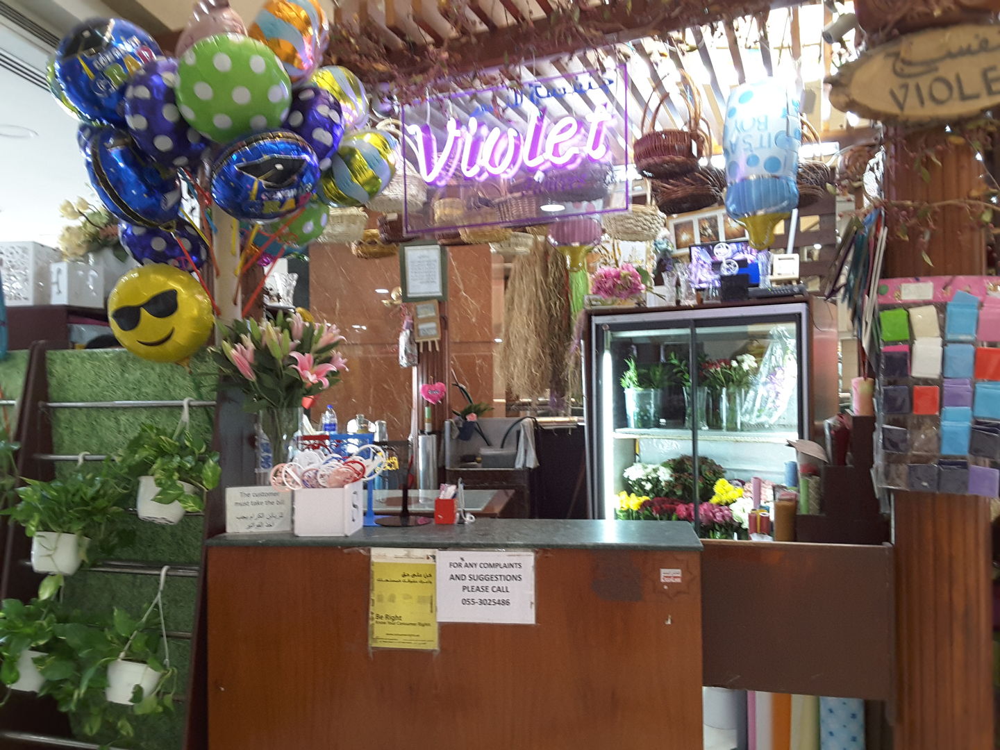 Violet Flowers(Garden & Outdoor) in Al Rashidiya, Dubai HiDubai