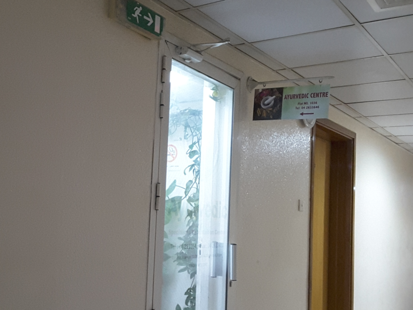 HiDubai-business-ayurvedic-specialized-rehabilitation-centre-beauty-wellness-health-homeopathy-alternative-medicine-al-qusais-2-dubai-2