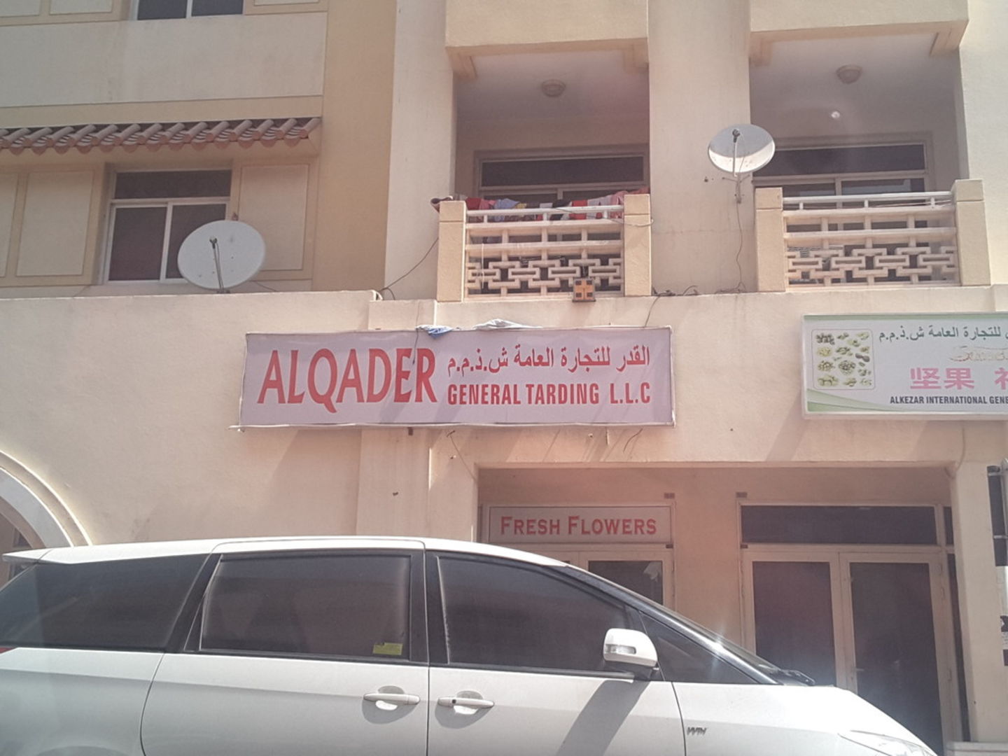 HiDubai-business-al-qader-general-trading-animals-pets-plants-plants-gardening-stores-international-city-warsan-1-dubai-2