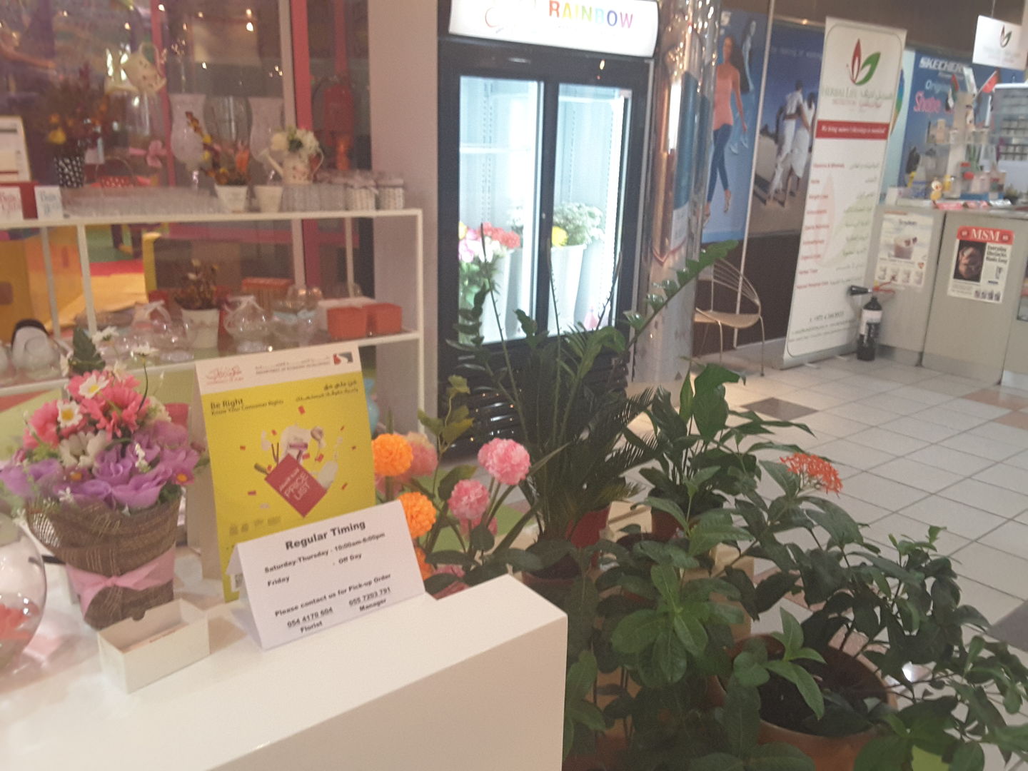 HiDubai-business-rainbow-flowers-and-gifts-animals-pets-plants-plants-gardening-stores-jumeirah-1-dubai-2