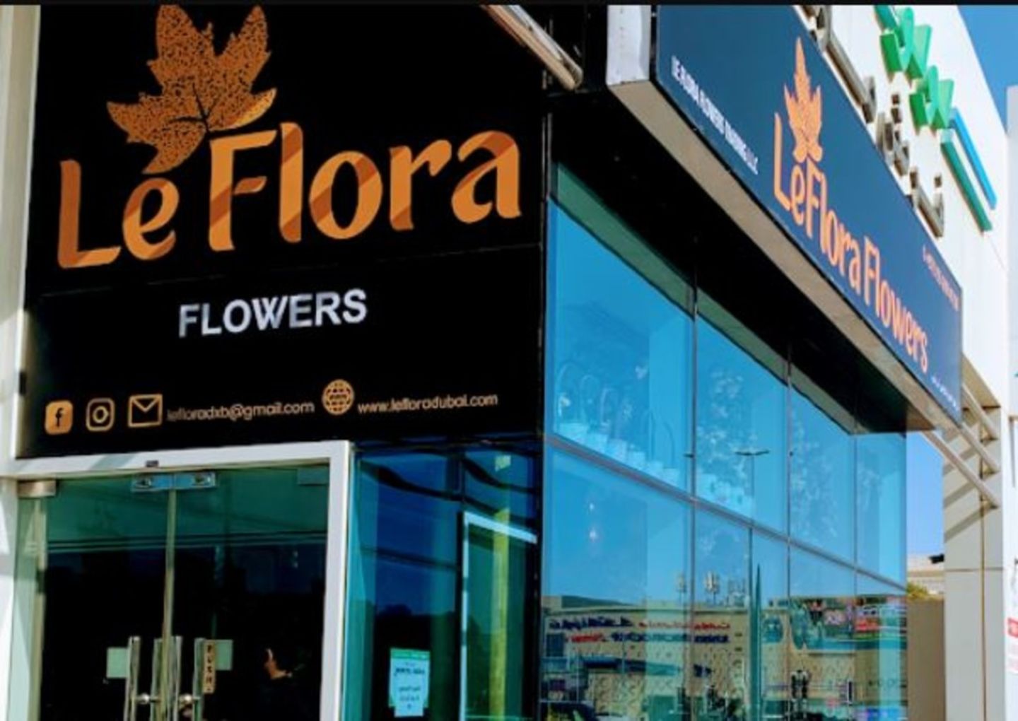 HiDubai-business-le-flora-flowers-trading-animals-pets-plants-plants-gardening-stores-jumeirah-1-dubai