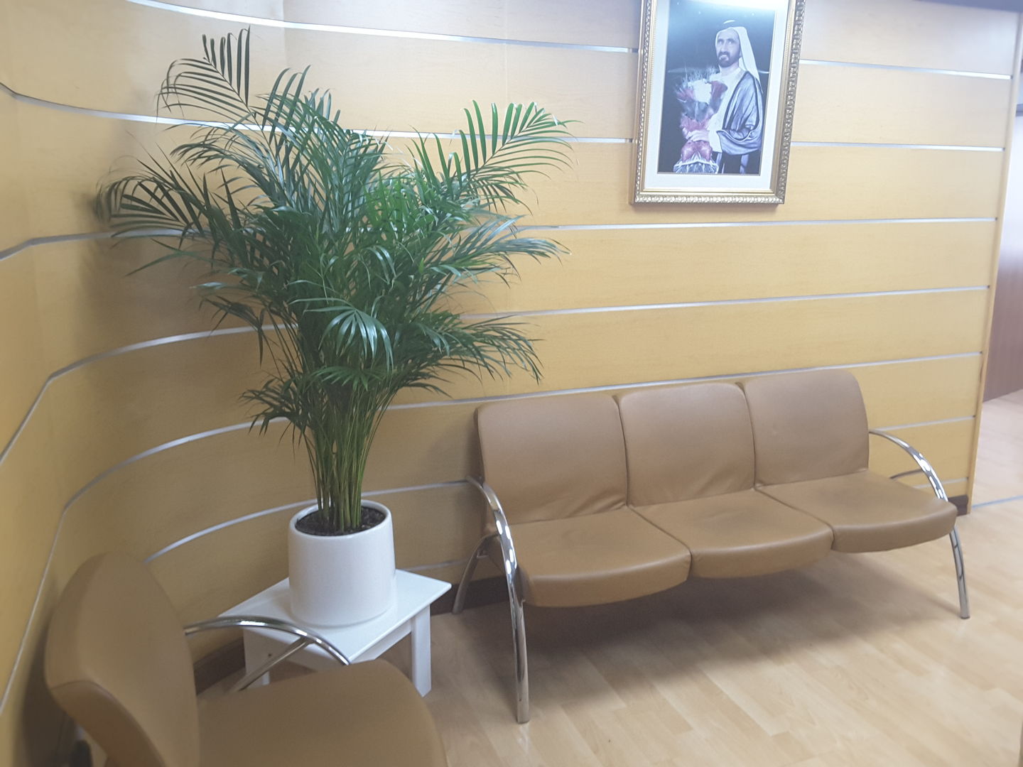 HiDubai-business-barsheed-building-materials-b2b-services-construction-building-material-trading-al-karama-dubai-2
