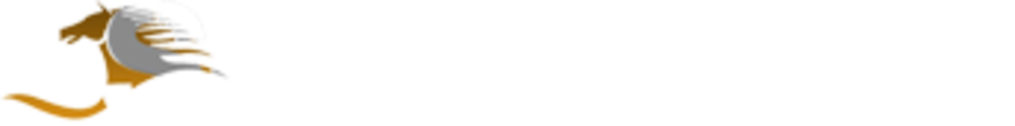 HiDubai-business-belhasa-global-exchange-finance-legal-money-exchange-al-qusais-2-dubai