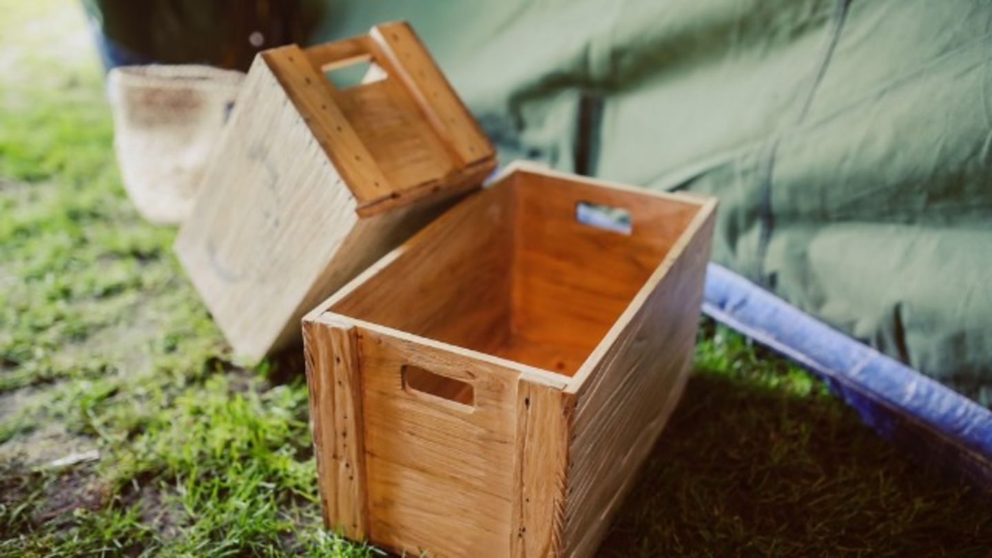 HiDubai-business-lifco-international-co-b2b-services-distributors-wholesalers-dubai-industrial-city-saih-shuaib-2-dubai