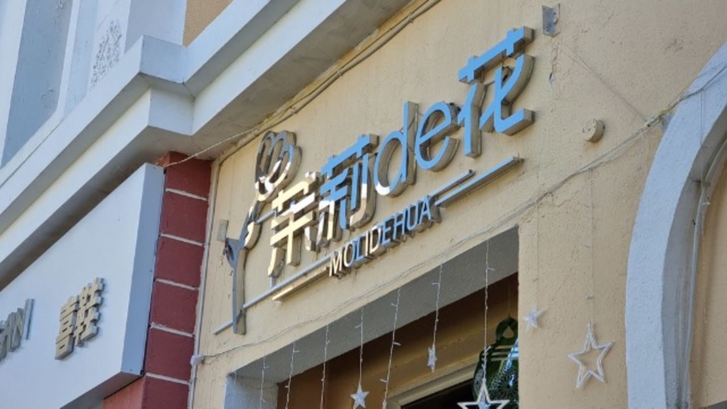 HiDubai-business-molidehua-flower-animals-pets-plants-plants-gardening-stores-international-city-warsan-1-dubai