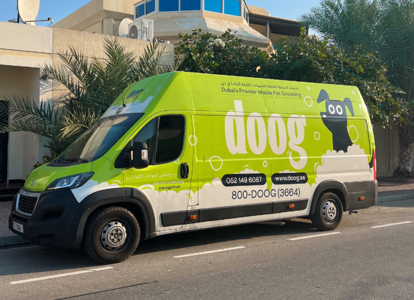 HiDubai-business-doog-domestic-pets-grooming-animals-pets-plants-pet-grooming-centres-al-garhoud-dubai