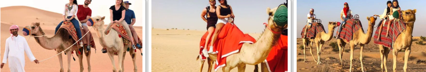 HiDubai-business-benchmark-tourism-hotels-tourism-travel-ticketing-agencies-naif-dubai