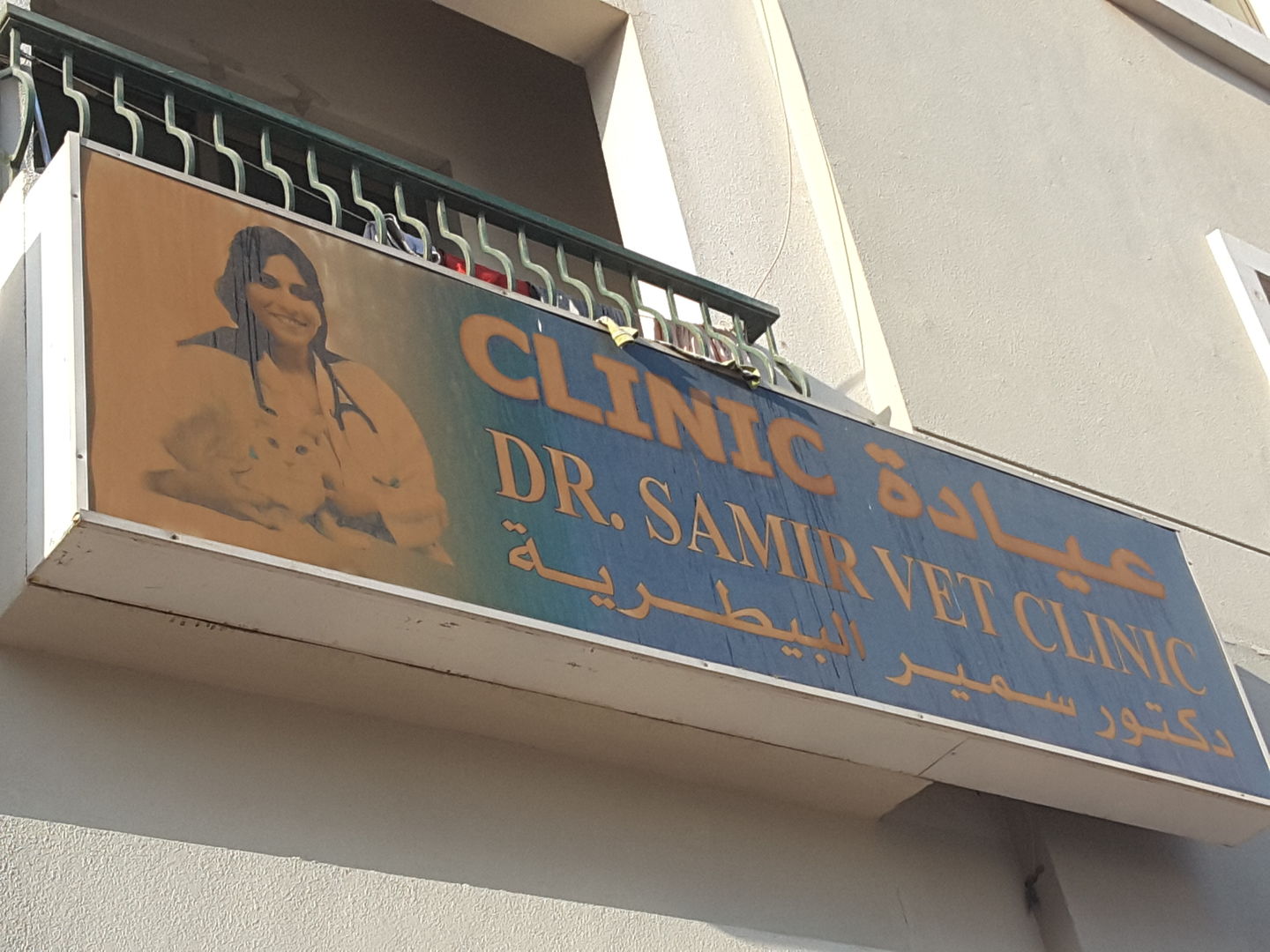 HiDubai-business-dr-samir-vet-clinic-animals-pets-plants-pet-clinics-vets-international-city-warsan-1-dubai-2