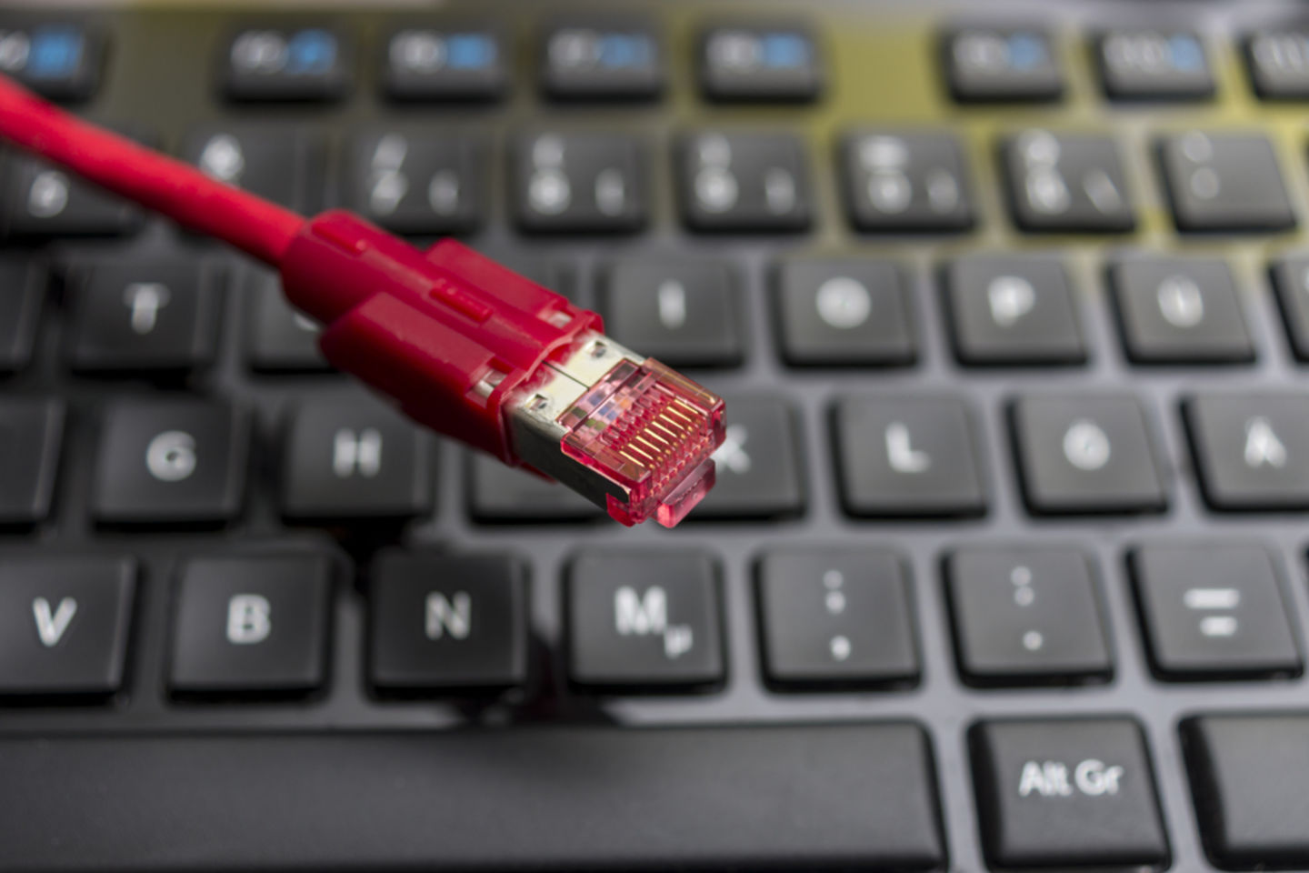 HiDubai-business-veripark-b2b-services-it-services-al-barsha-1-dubai-2