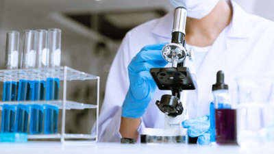Element Materials Technology(Engineers & Surveyors) in Barsha Heights ...