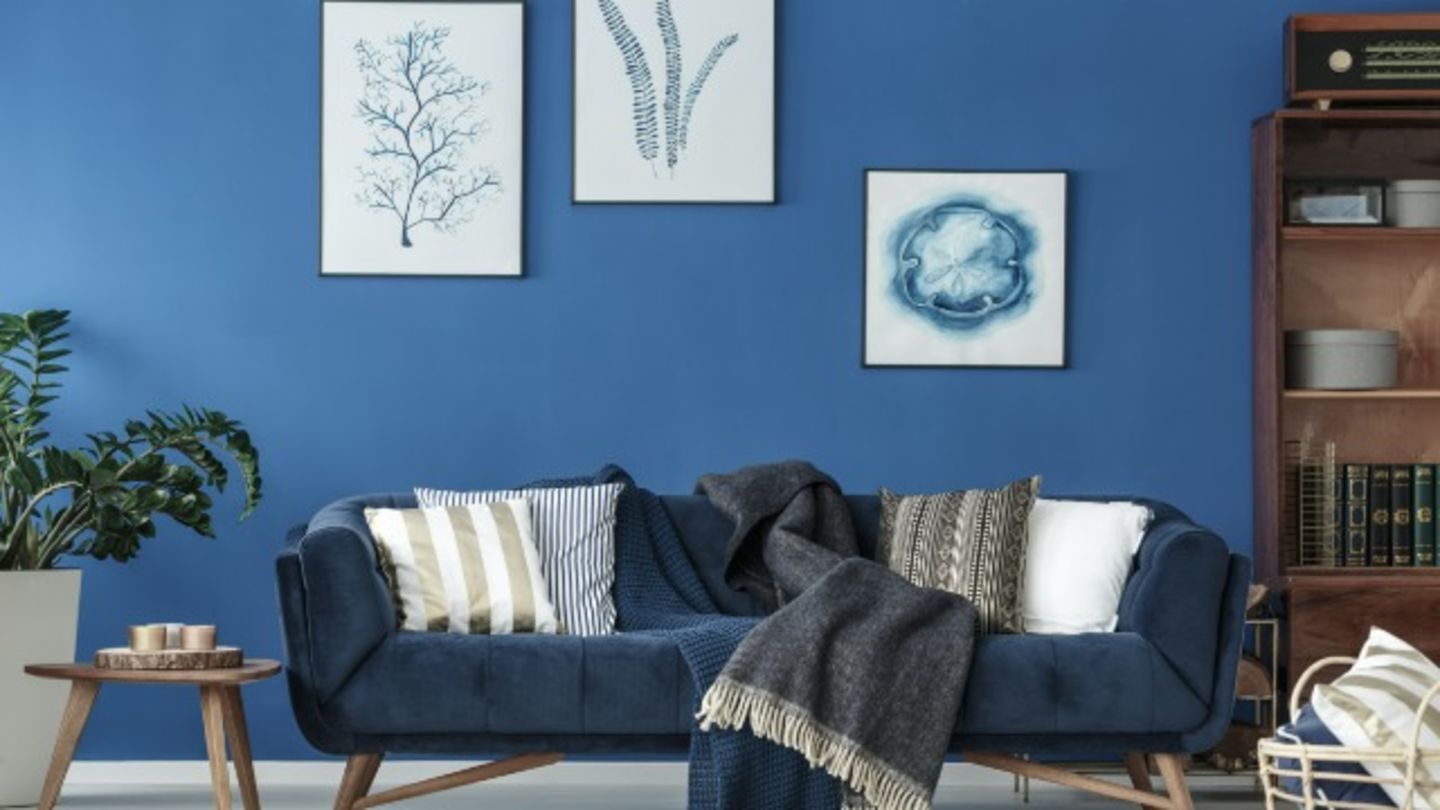 HiDubai-business-everluxe-real-estate-housing-real-estate-real-estate-agencies-trade-centre-1-dubai