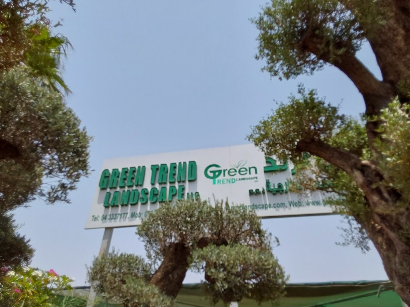 HiDubai-business-green-trend-landscape-animals-pets-plants-plants-gardening-stores-warsan-3-dubai