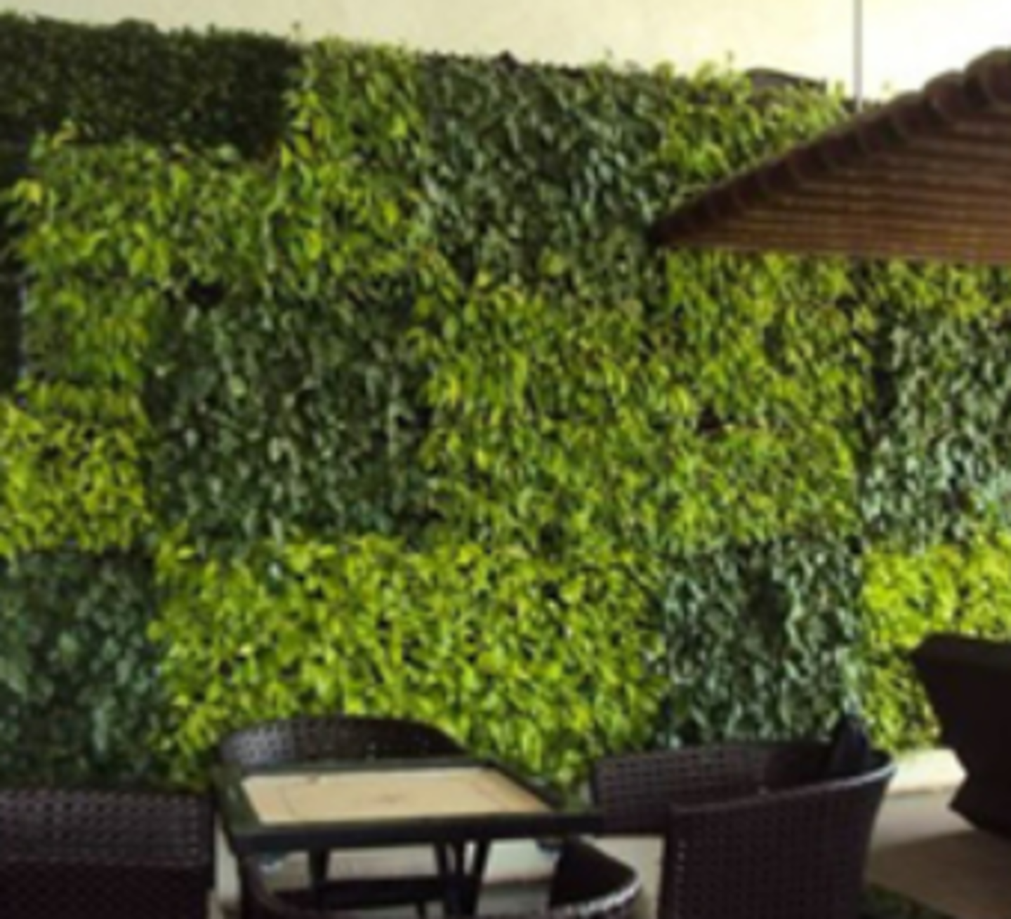 HiDubai-business-grand-gover-horticulture-company-construction-heavy-industries-environmental-agricultural-companies-warsan-3-dubai