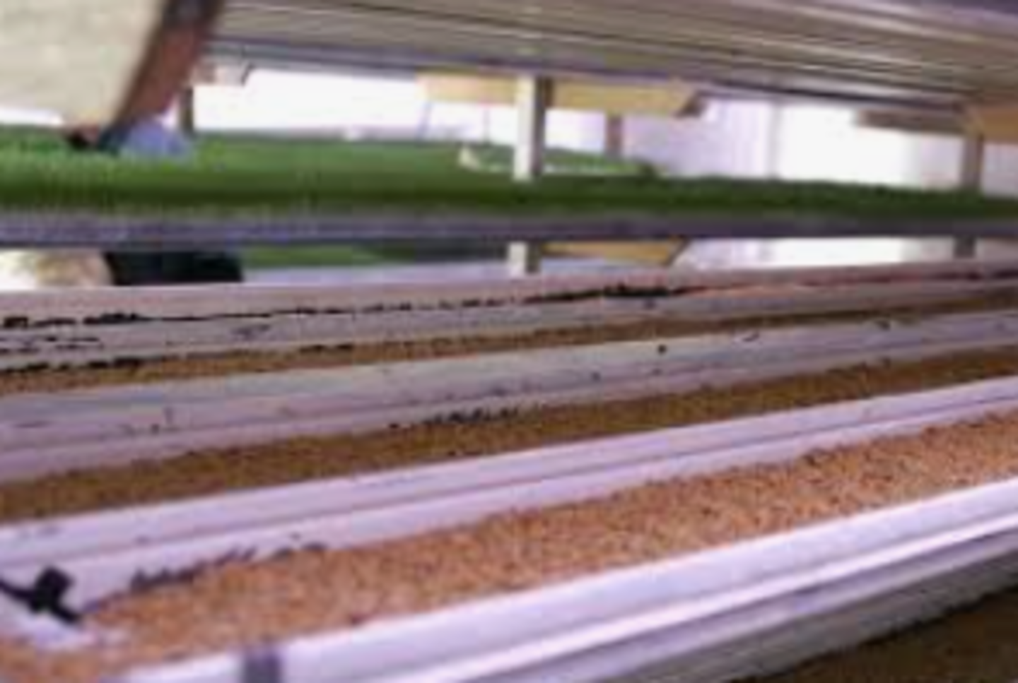 HiDubai-business-portmans-fodder-manufacturing-b2b-services-manufacturing-warsan-3-dubai