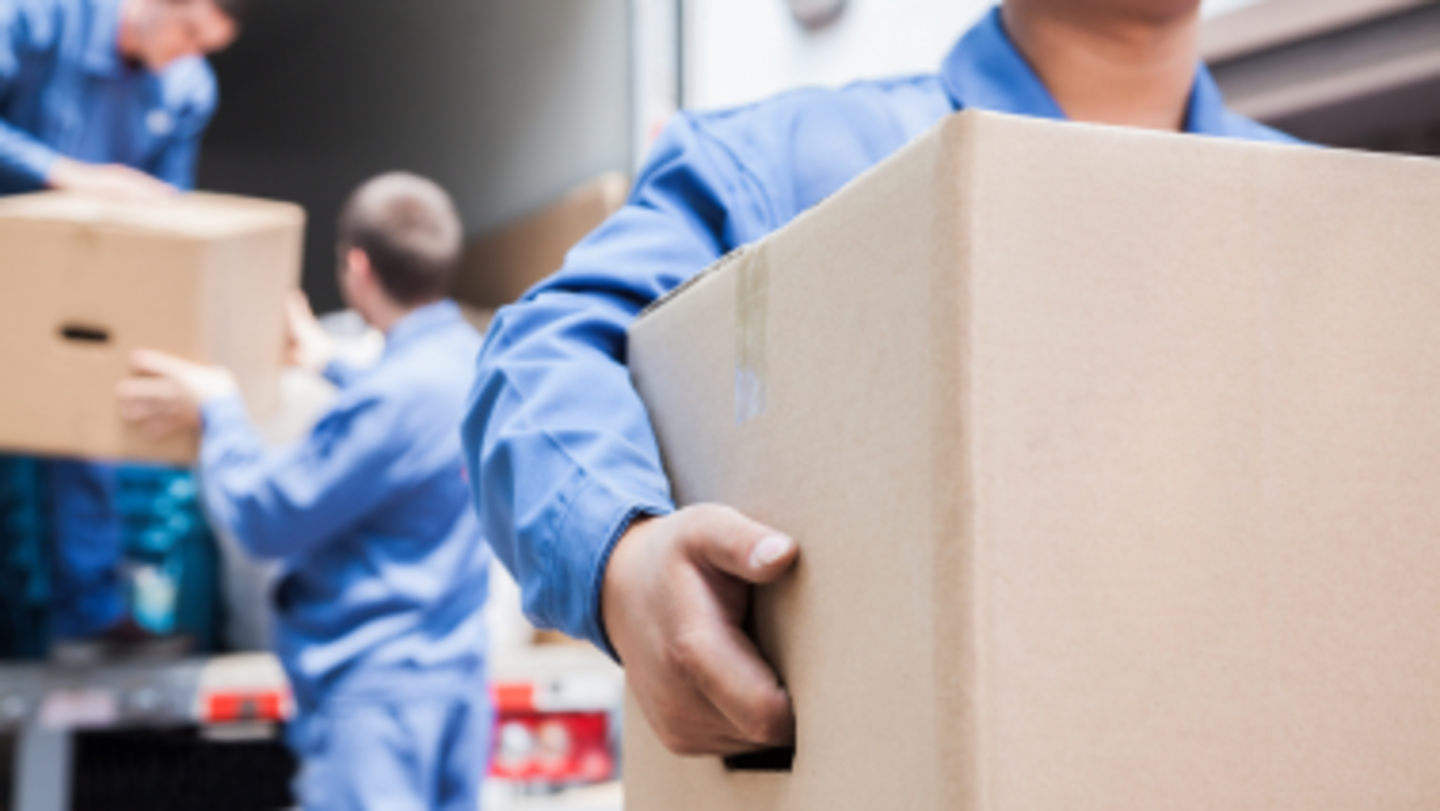 HiDubai-business-trust-well-movers-shipping-logistics-moving-storage-services-al-quoz-industrial-4-dubai