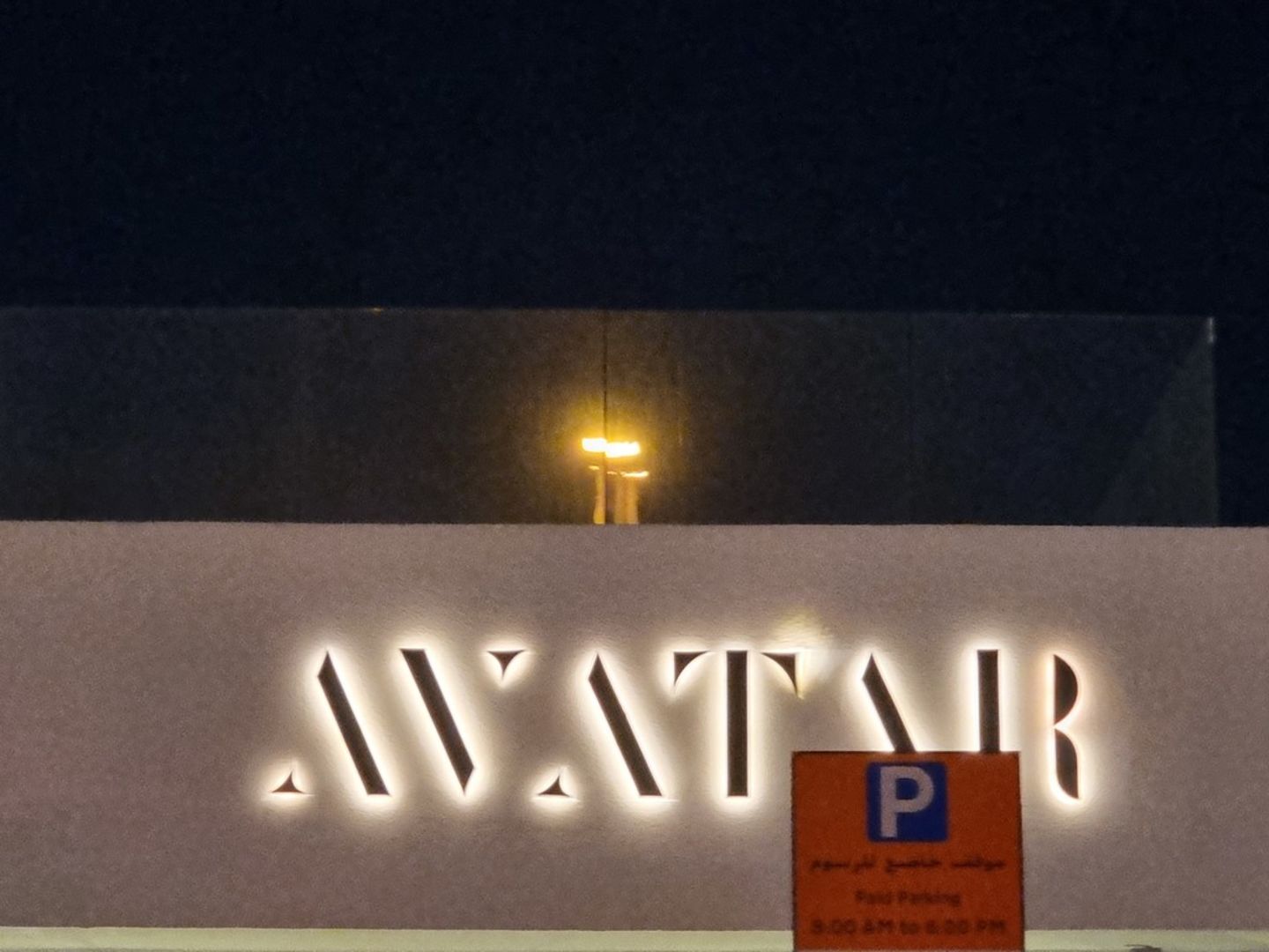 HiDubai-business-avatar-magical-flowers-animals-pets-plants-plants-gardening-stores-jumeirah-2-dubai