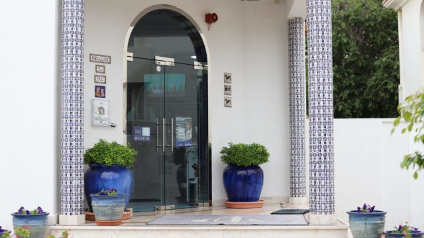 HiDubai-business-modern-vet-animals-pets-plants-pet-clinics-vets-umm-suqeim-1-dubai