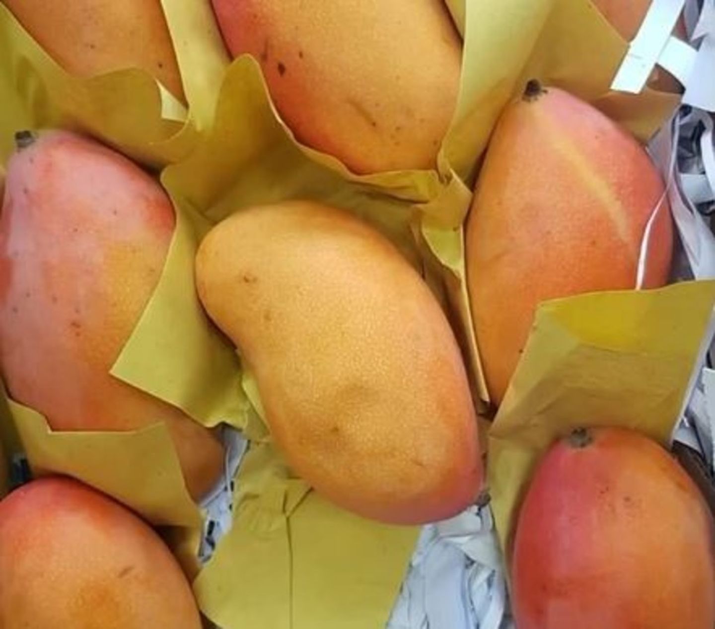 HiDubai-business-ghazal-al-wadi-vegetables-fruits-market-shopping-supermarkets-hypermarkets-grocery-stores-madinat-dubai-dubai