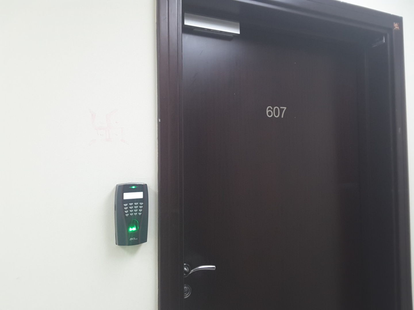 HiDubai-business-orchid-star-general-trading-b2b-services-distributors-wholesalers-al-sabkha-dubai-2