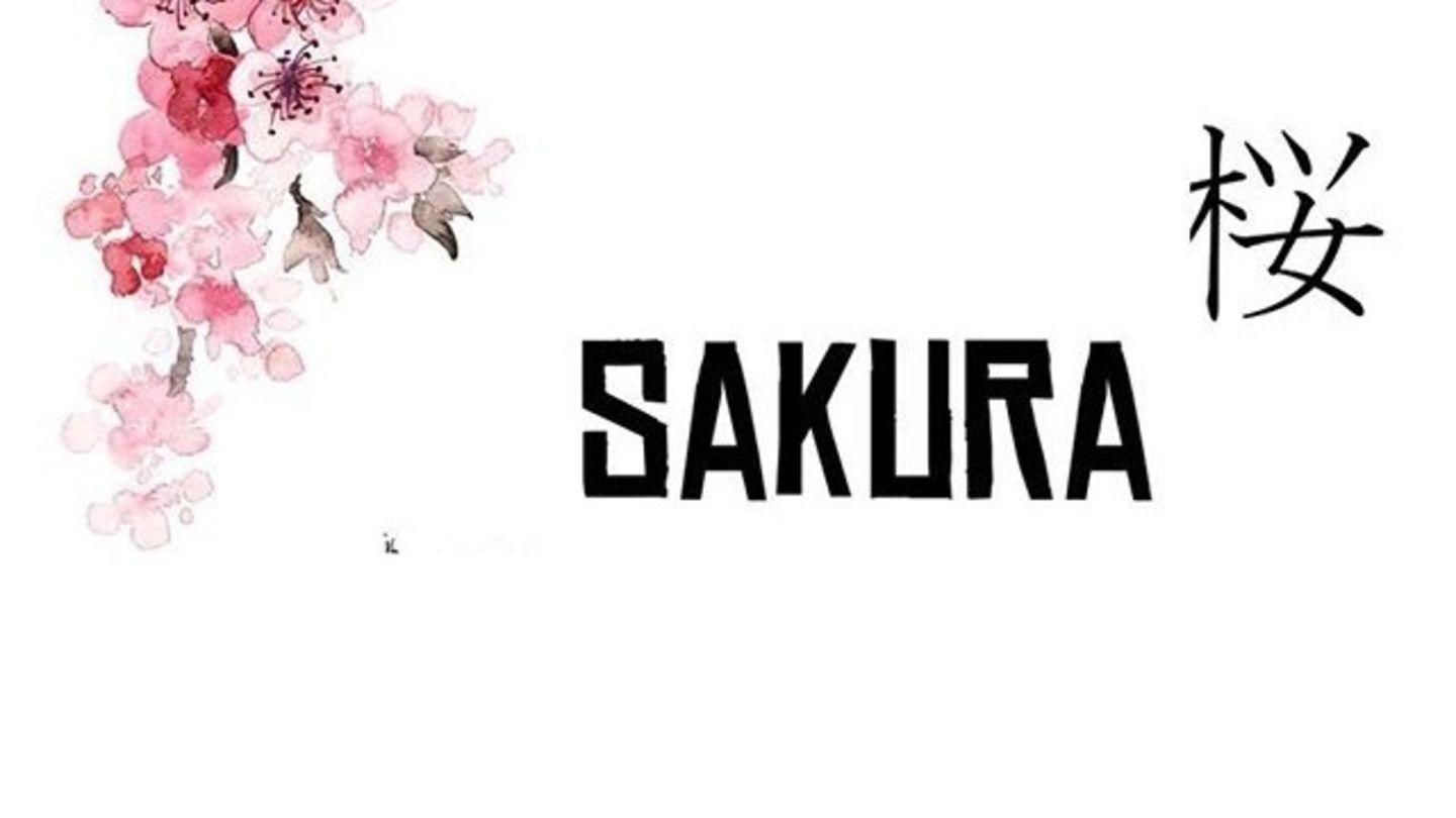 HiDubai-business-sakura-cafe-and-more-food-beverage-coffee-shops-al-lisaili-dubai