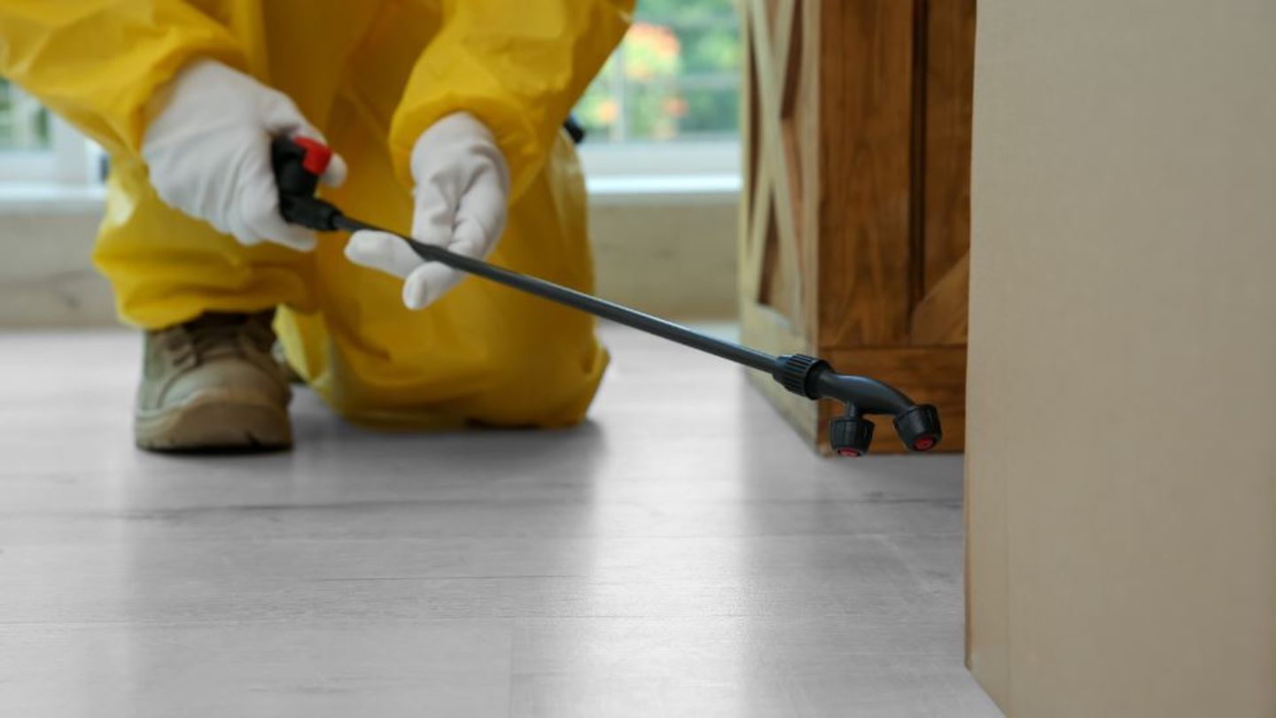 HiDubai-business-al-aadeel-pest-control-services-home-pest-control-disinfection-services-al-baraha-dubai