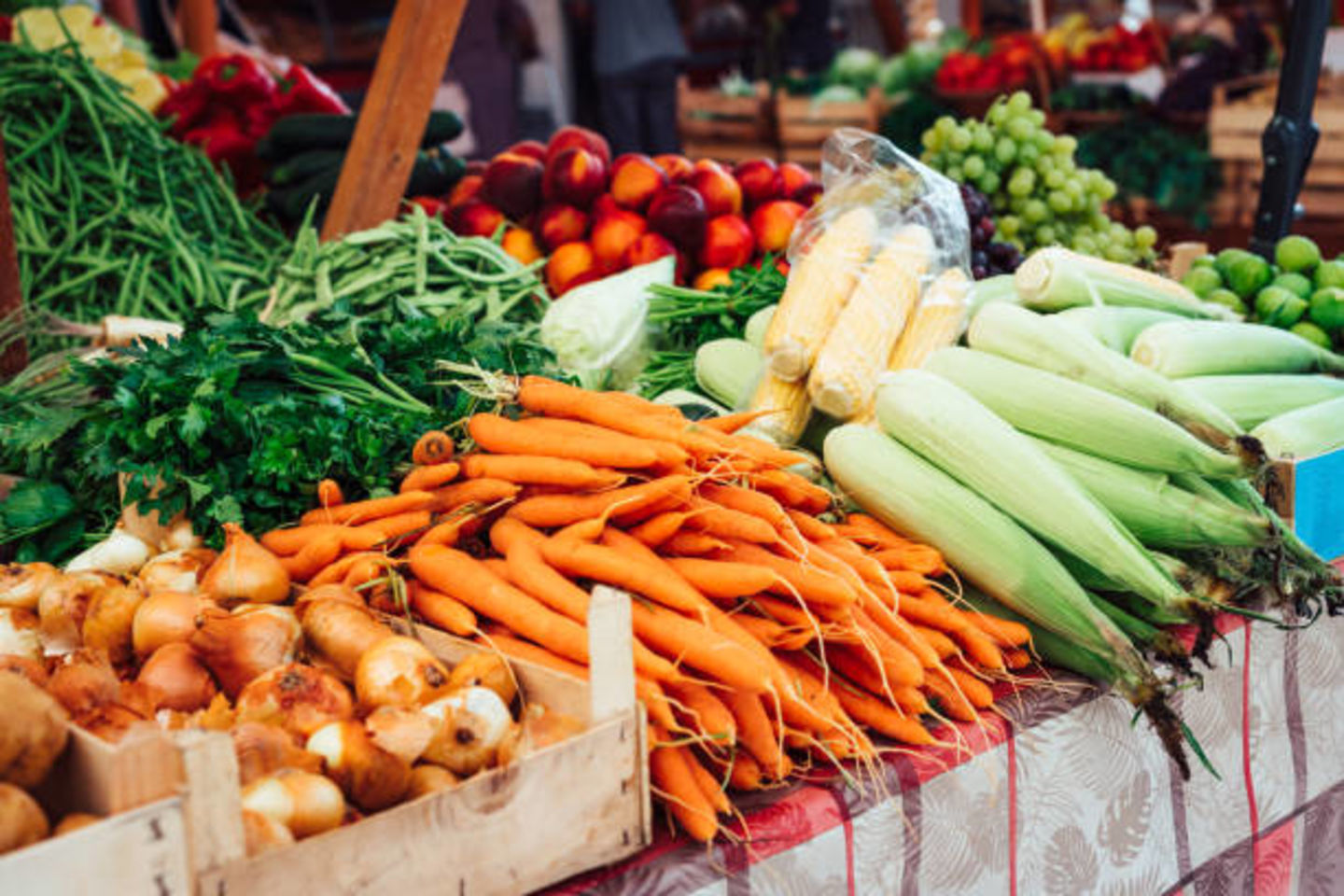 HiDubai-business-sargodha-organic-agri-product-vegetables-fruits-trading-b2b-services-food-stuff-trading-ras-al-khor-industrial-3-dubai