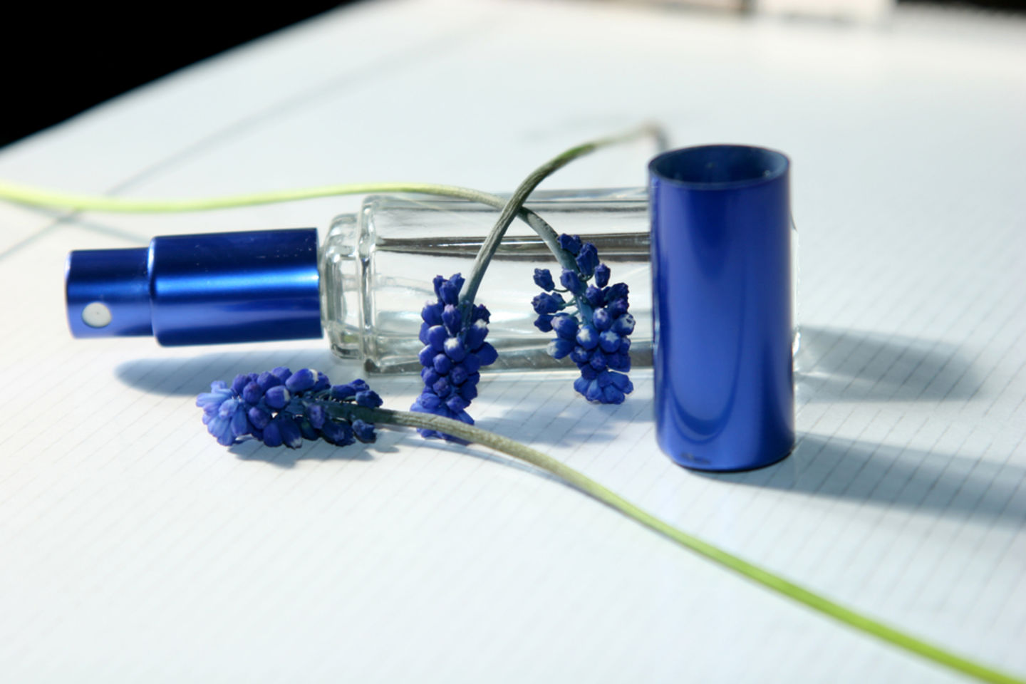 HiDubai-business-supreme-cosmetics-manufacturers-b2b-services-manufacturing-jebel-ali-industrial-1-dubai