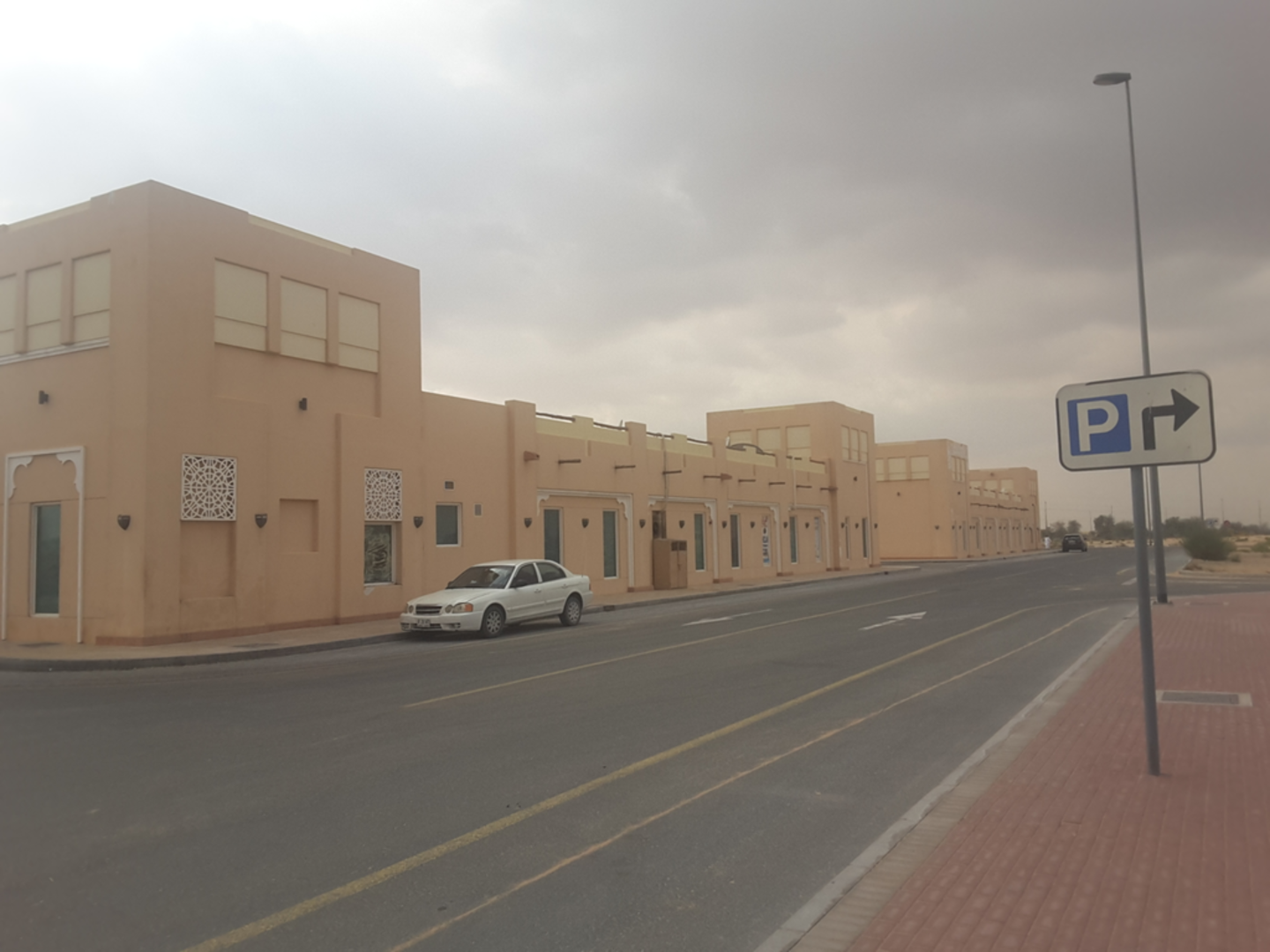 HiDubai-business-rashid-saeed-general-trading-est-animals-pets-plants-pet-food-accessories-stores-margham-dubai-2