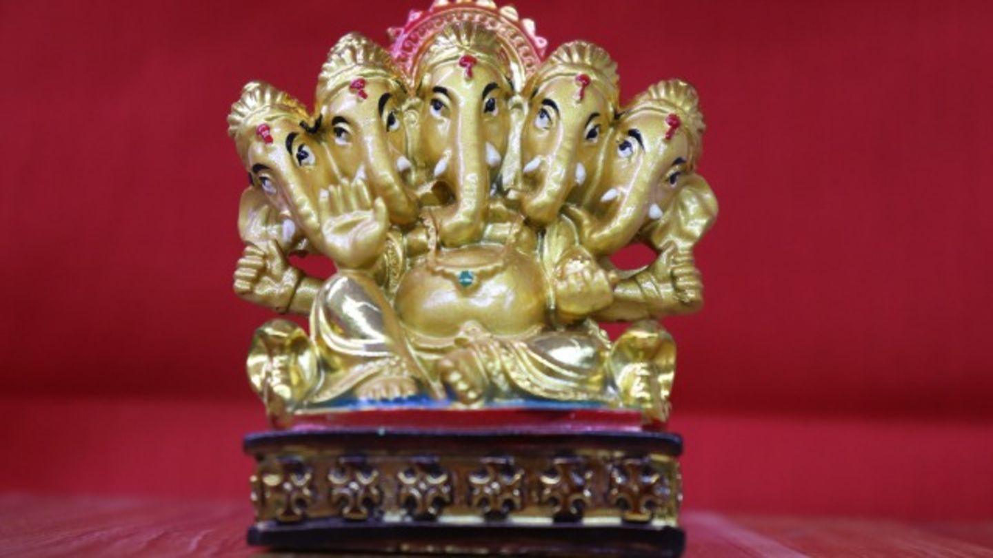 HiDubai-business-perfect-choice-general-trading-animals-pets-plants-plants-gardening-stores-al-qusais-1-dubai