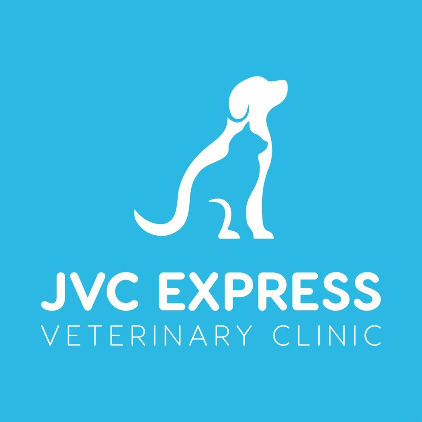 HiDubai-business-jvc-express-veterinary-clinic-animals-pets-plants-pet-clinics-vets-jumeirah-village-circle-al-barsha-south-4-dubai