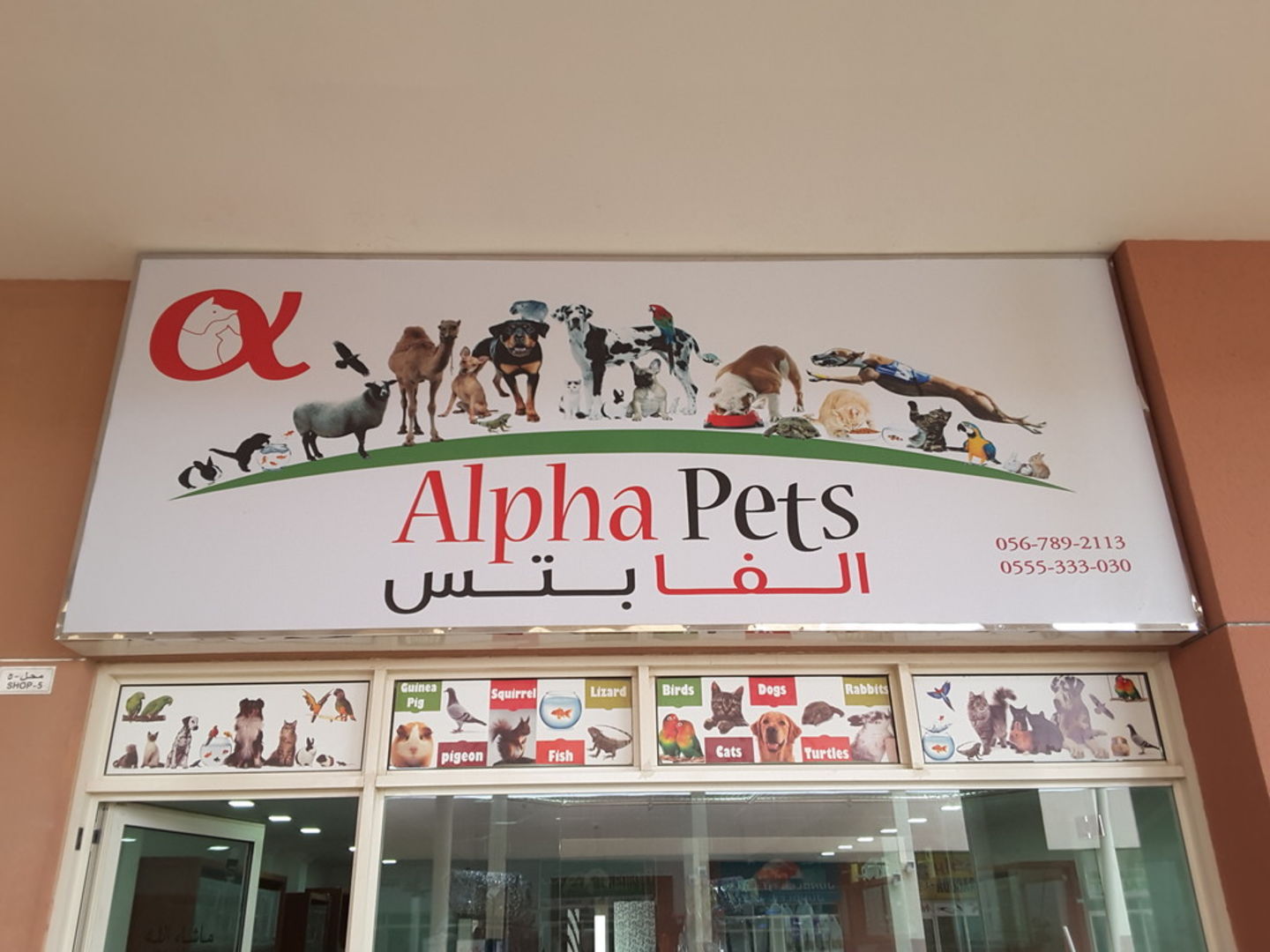 HiDubai-business-alpha-pets-animals-pets-plants-animal-breeding-centres-warsan-3-dubai-2