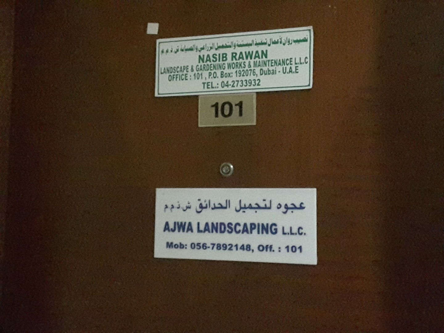 HiDubai-business-ajwa-landscaping-home-gardening-landscaping-al-murar-dubai-2