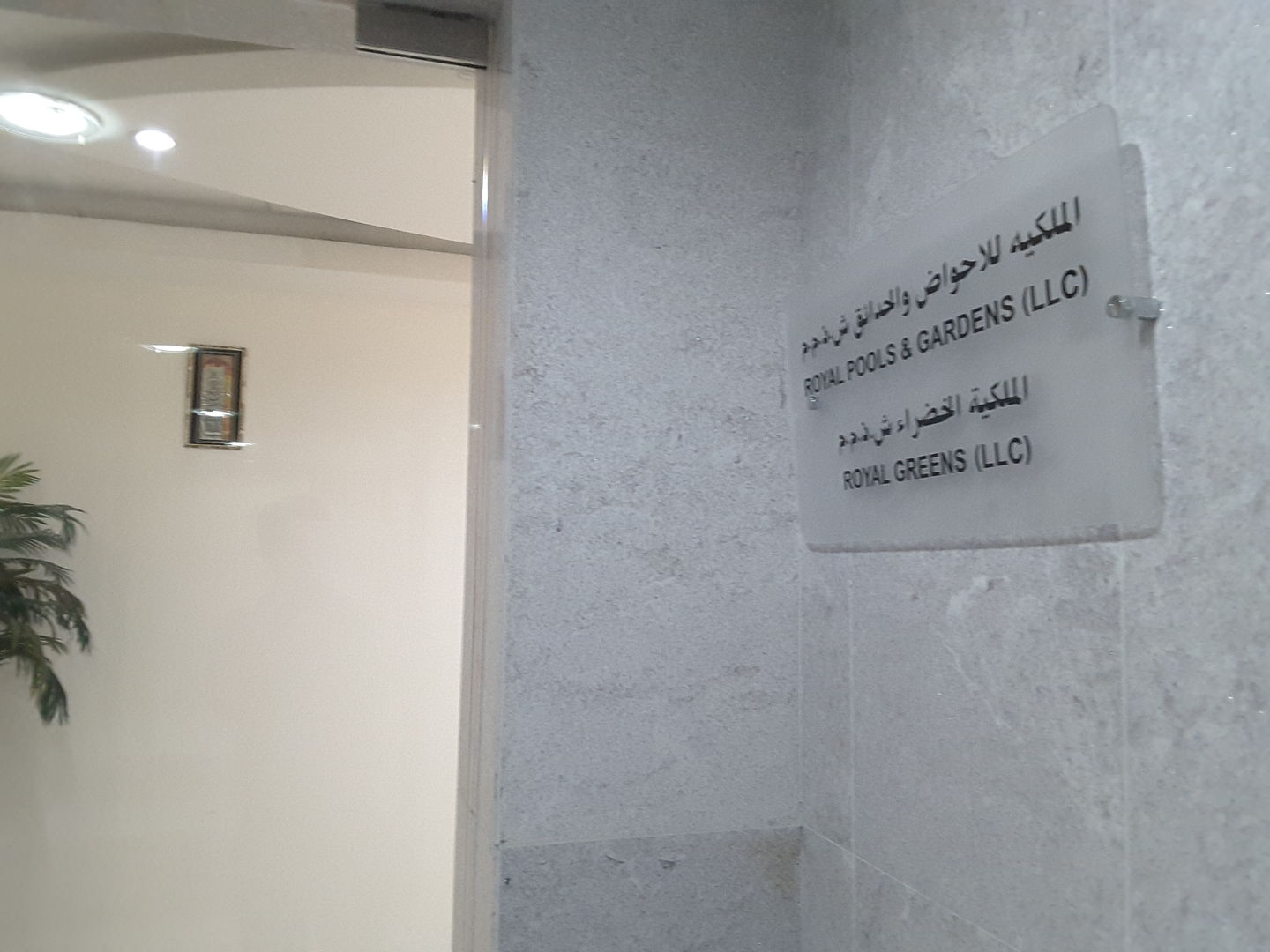 HiDubai-business-royal-pools-gardens-construction-heavy-industries-construction-renovation-tecom-al-thanyah-1-dubai-2