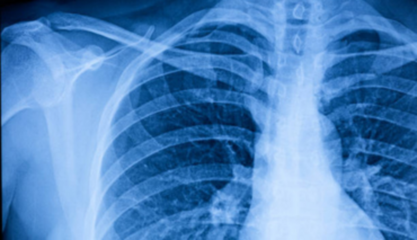 HiDubai-business-al-rashidiya-medical-fitness-center-government-public-services-medical-fitness-centers-al-rashidiya-dubai