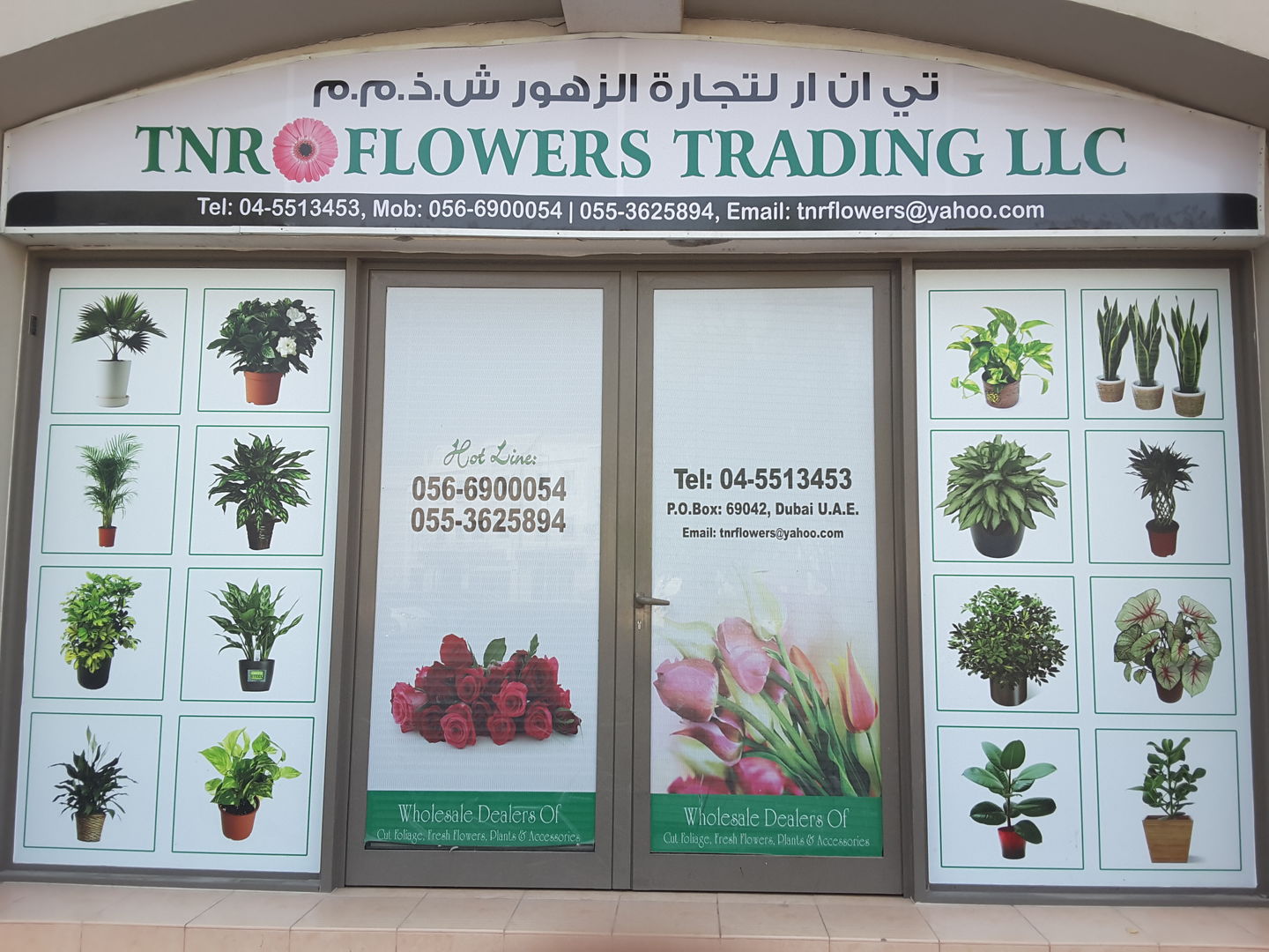 Tnr Flowers Trading(Distributors & Wholesalers) in International City